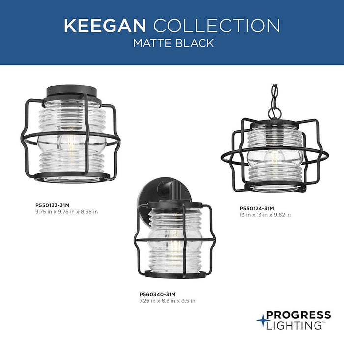 Progress Lighting Keegan 1-Light Outdoor Wall Lantern, Black/Clear