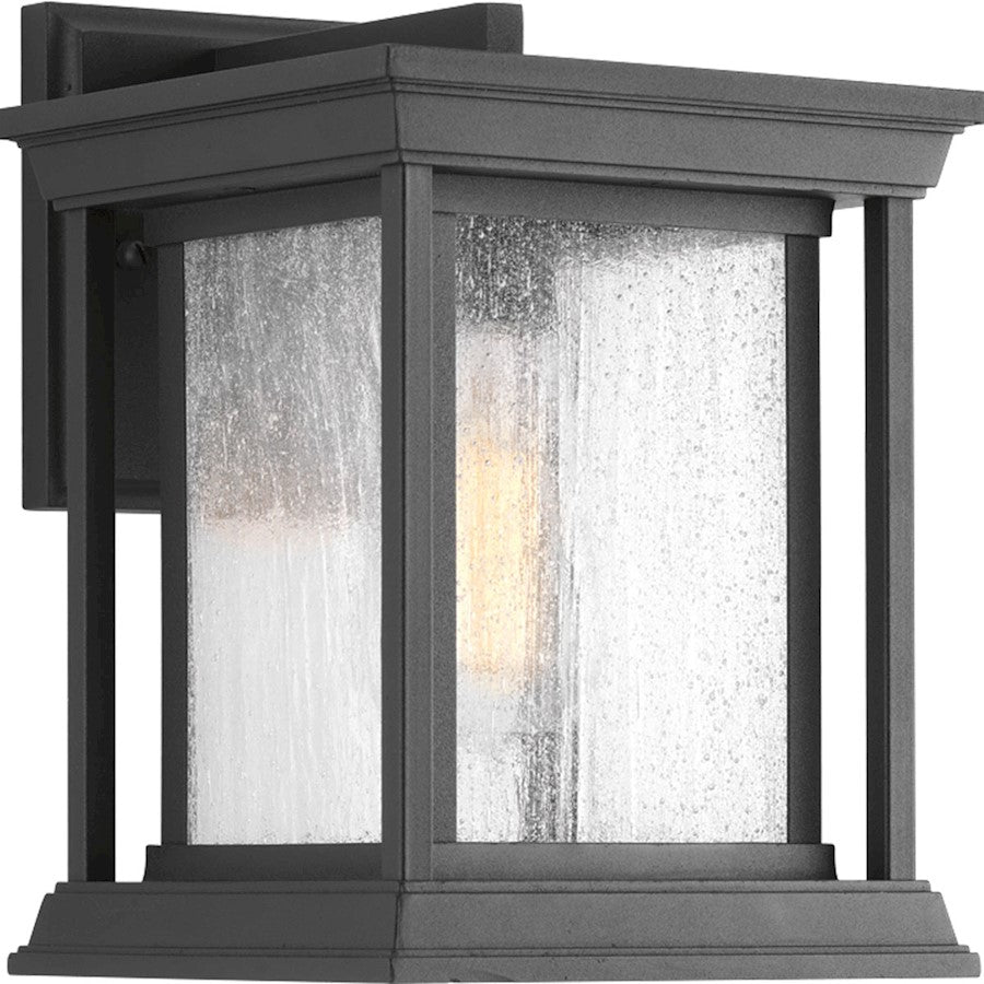 Progress Endicott 1 Light Wall Lantern