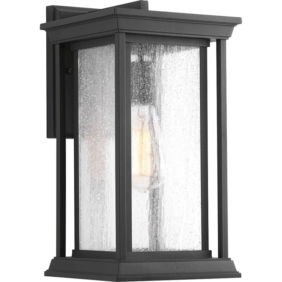 Progress Endicott 1 Light Wall Lantern