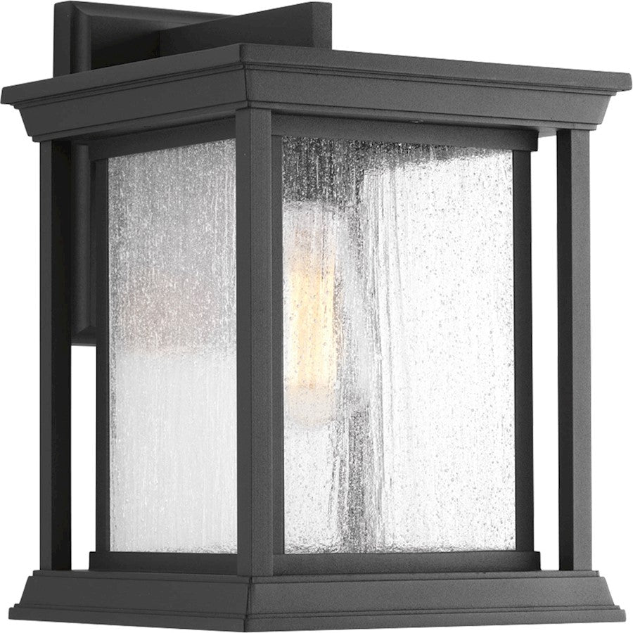 Progress Endicott 1 Light Wall Lantern