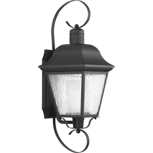 Progress Lighting Andover Black Outdoor Large Wall, Water Seeded - P6621-31MD