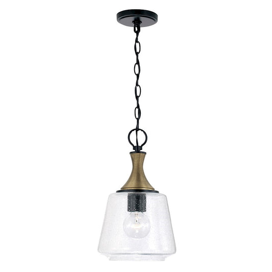 OPEN BOX ITEM: Capital Lighting Amara 1 Light Pendant, BK/BRS/Seed - CL345611KB