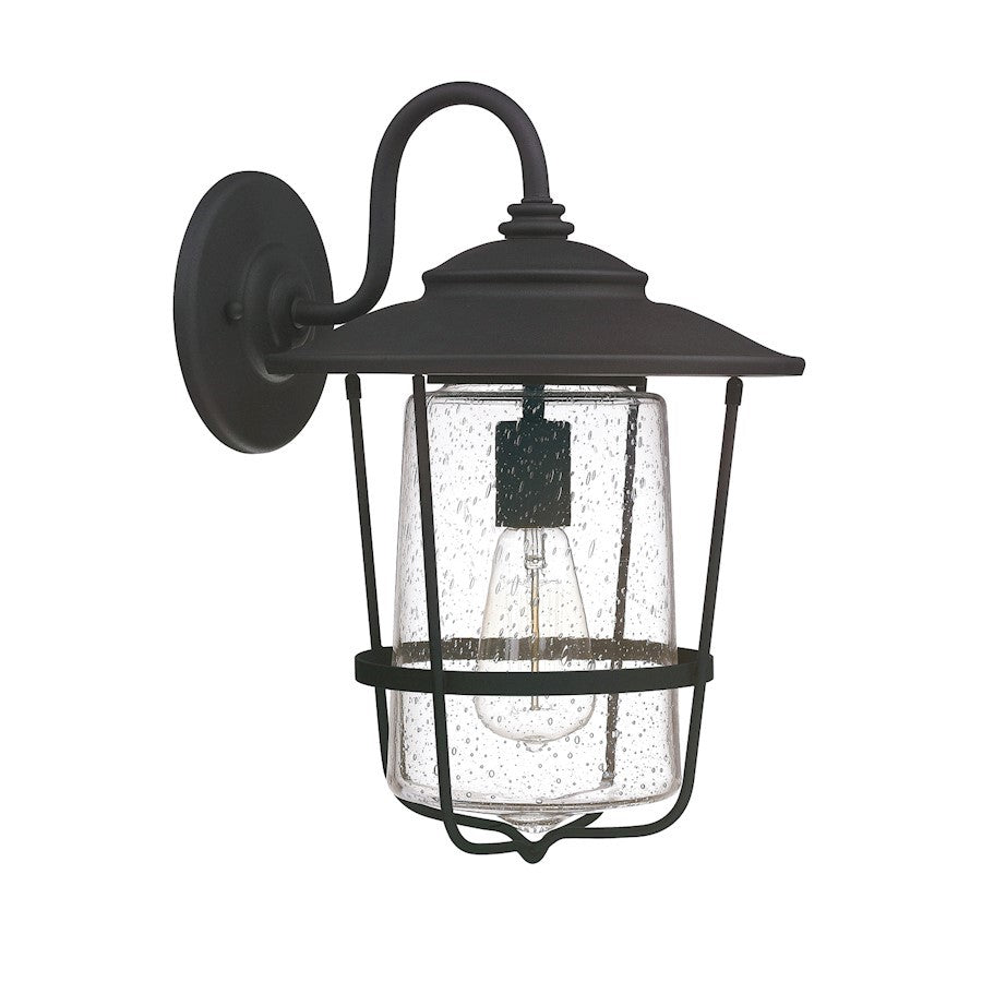 OPEN BOX ITEM: Capital Creekside 1 Lt Wall Lantern, Black, Clear Seeded