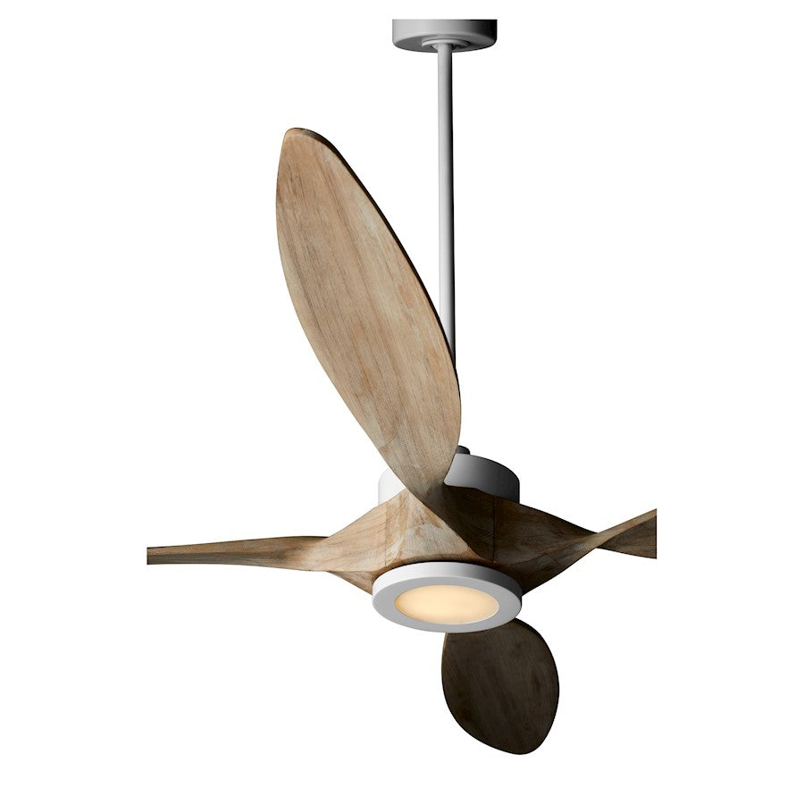 Quorum Papillon Wifi Ceiling Fan