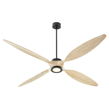 Quorum Papillon Wifi Ceiling Fan