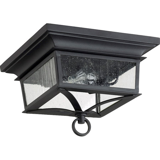 Quorum Pavilion 2 Light 14" Outdoor Ceiling Light