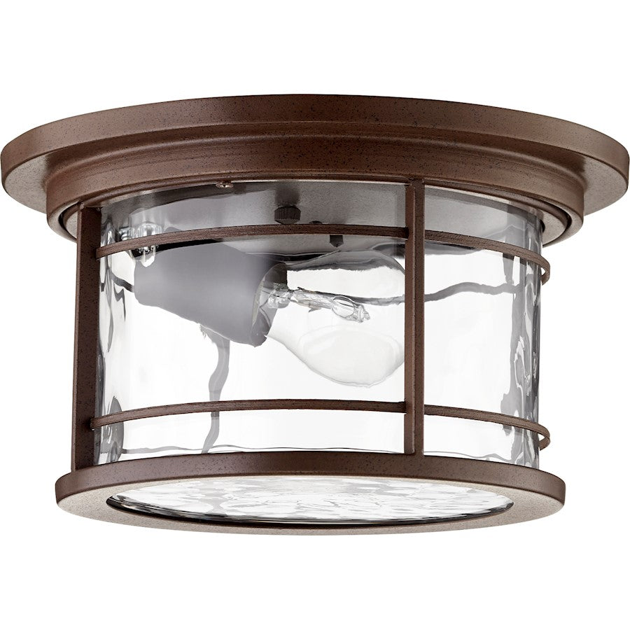 Quorum Larson 1 Light Outdoor Ceiling Light, Bronze/Clear