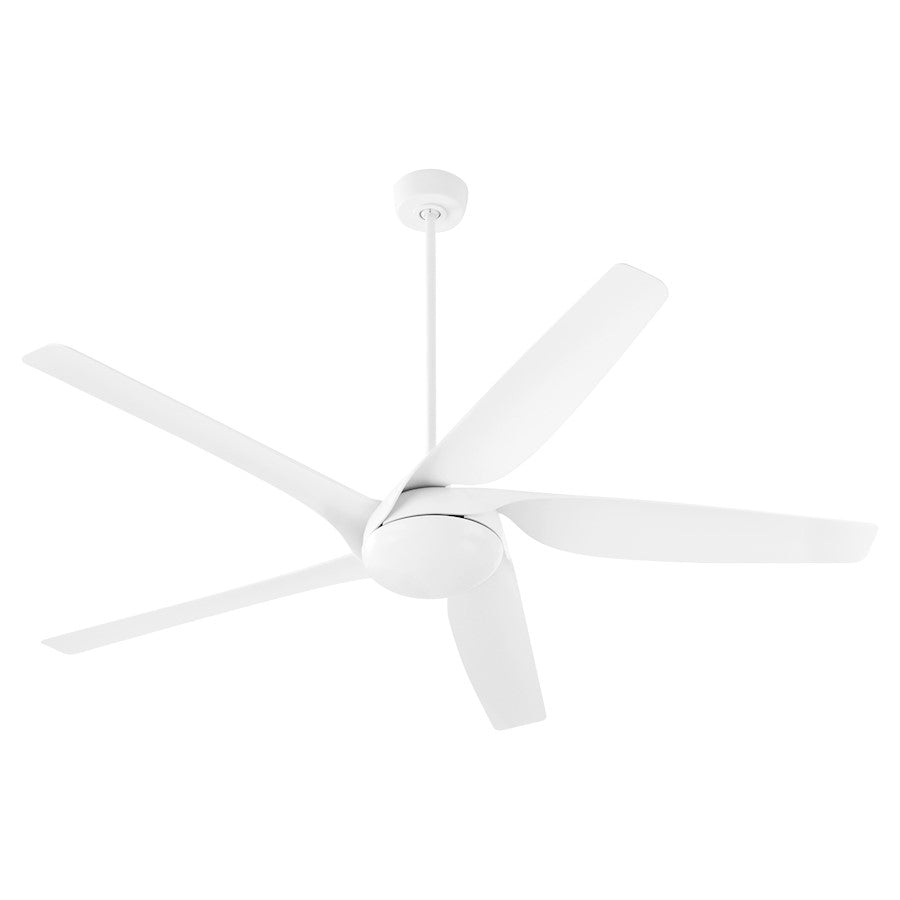 Quorum Fury 65" 5 Blade Fan