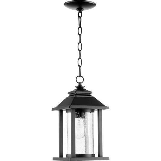 1 Light 7" Outdoor Pendant