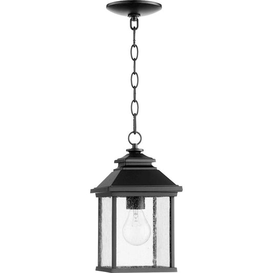 1 Light 13" Outdoor Pendant