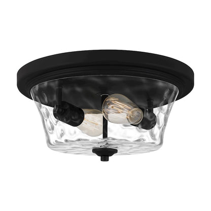 Quoizel Acacia 2 Light Flush Mount, Clear Water