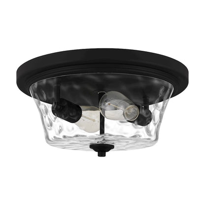 Quoizel Acacia 2 Light Flush Mount, Clear Water