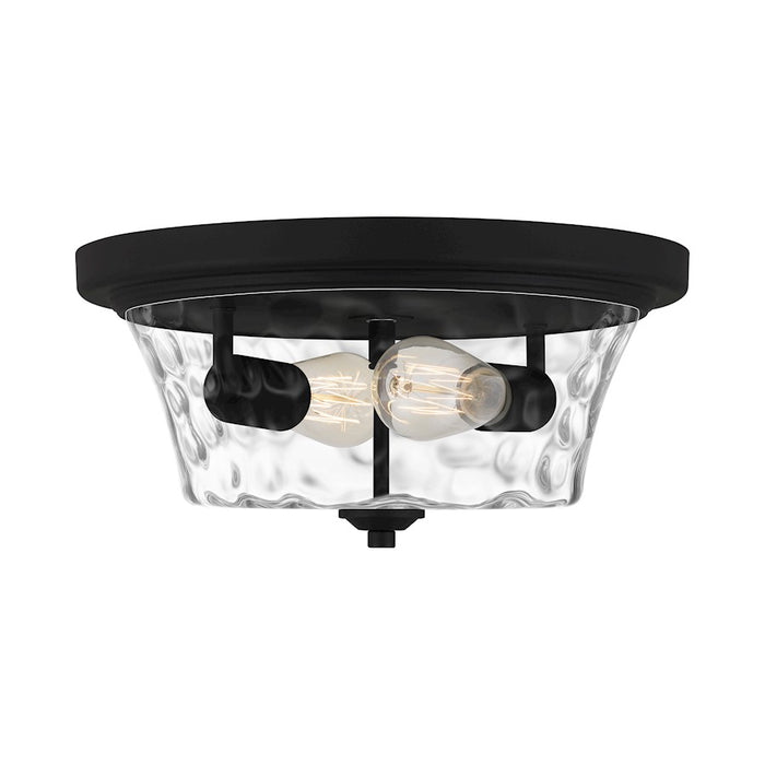 Quoizel Acacia 2 Light Flush Mount, Clear Water