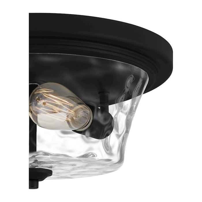 Quoizel Acacia 2 Light Flush Mount, Clear Water