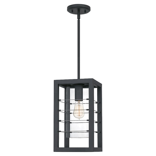 Quoizel Bimini 1 Light Outdoor Hanging Lantern, Earth Black - BIM1908EK