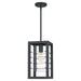 Quoizel Bimini 1 Light Outdoor Hanging Lantern, Earth Black - BIM1908EK