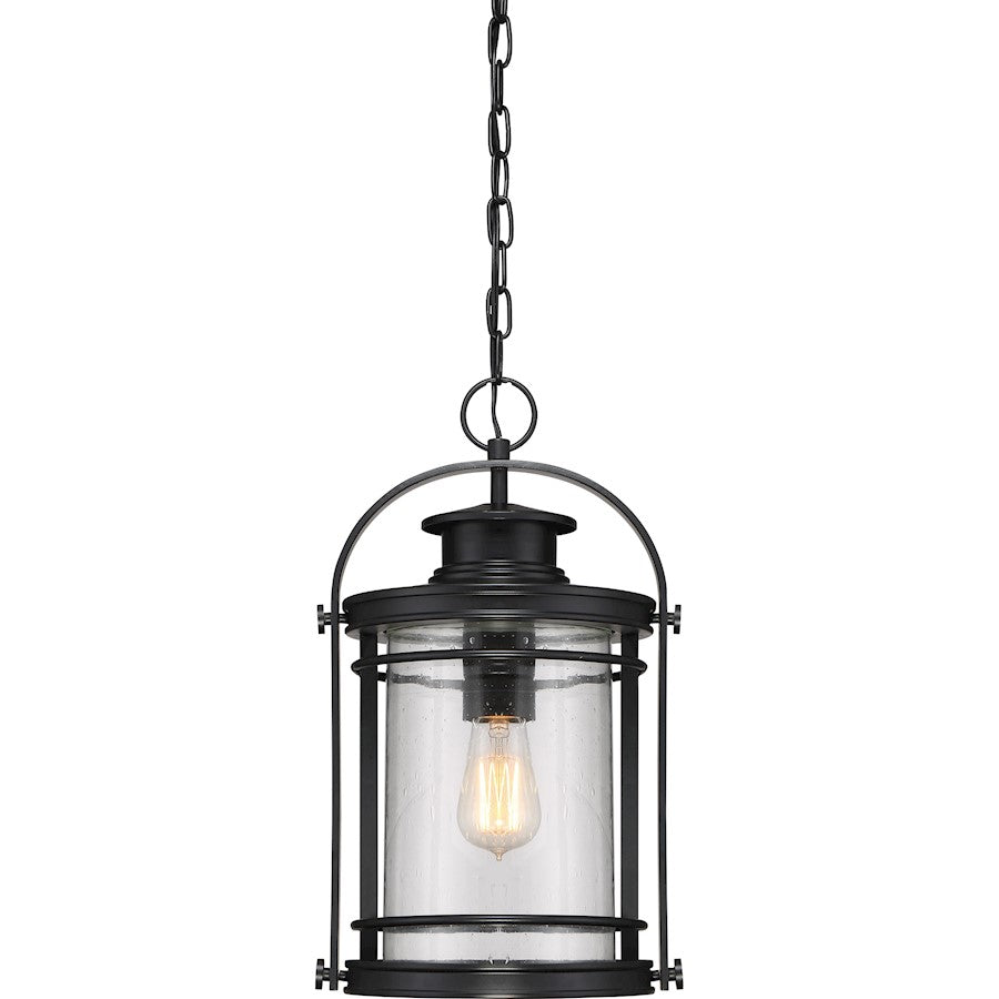 1 Light Mini Pendant, Mystic Black