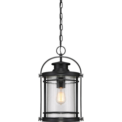 1 Light Mini Pendant, Mystic Black