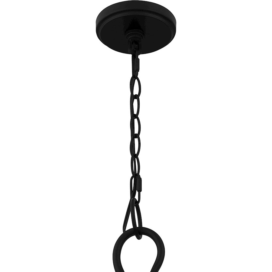 Quoizel Blanche 15 Light Chandelier, Matte Black