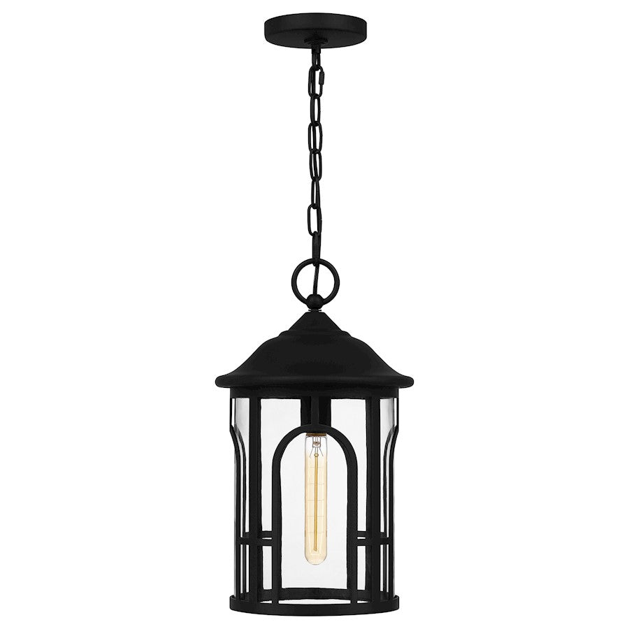 1 Light Mini Pendant, Matte Black