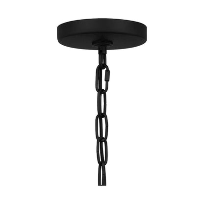 1 Light Mini Pendant, Matte Black