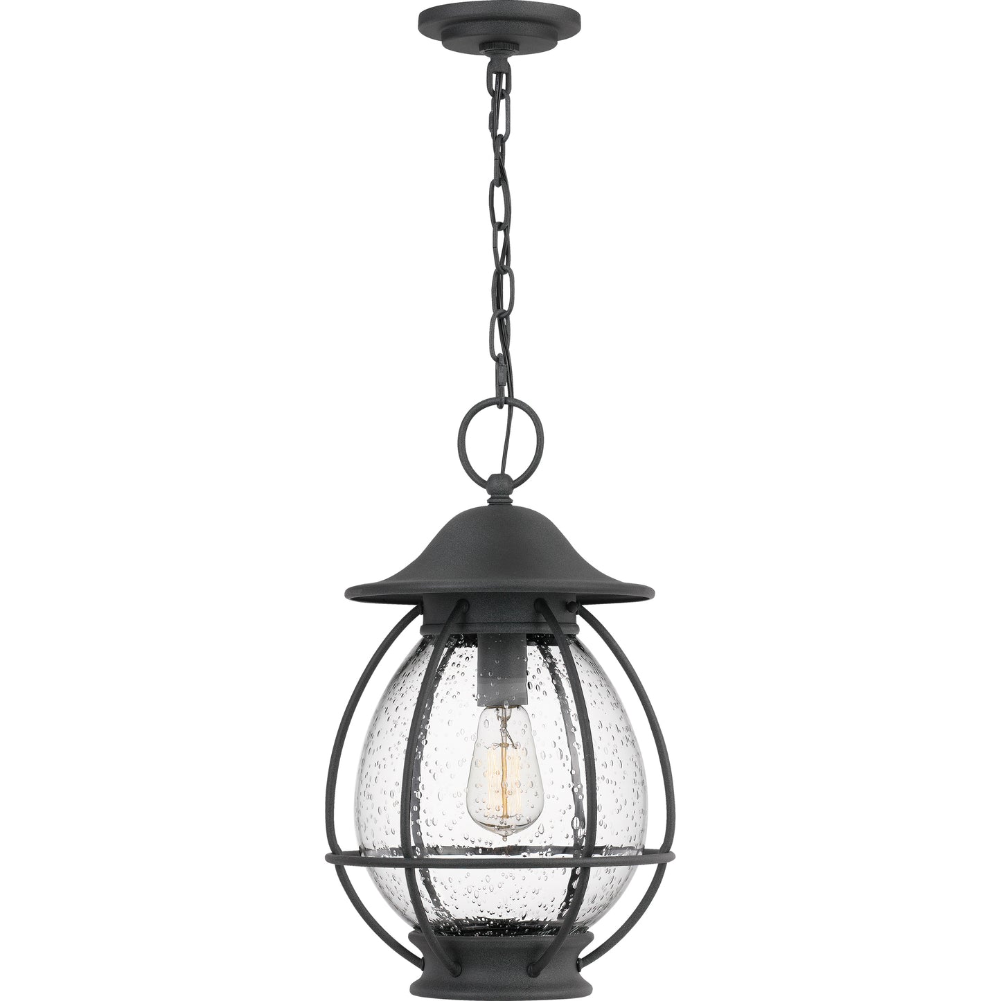 Quoizel Boston 1 Light Outdoor Hanging Lantern, Mottled Black