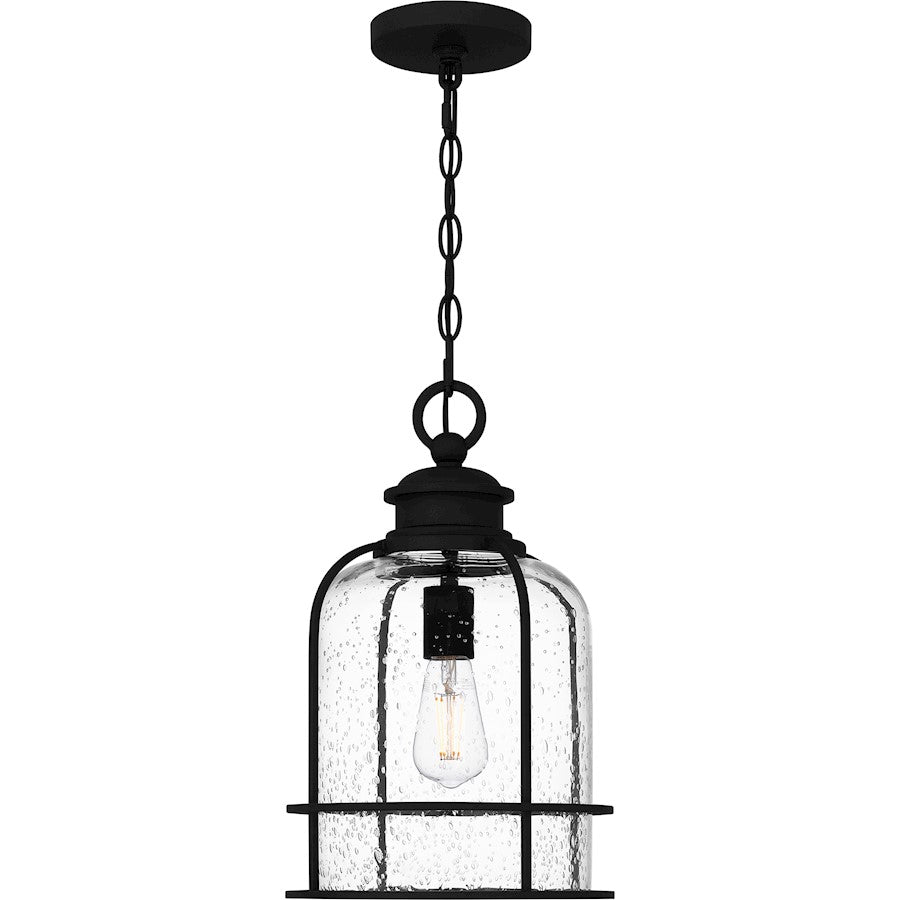 Quoizel Bowles 1 Light Mini Pendant, Earth Black/Clear Seedy - BWE1510EK