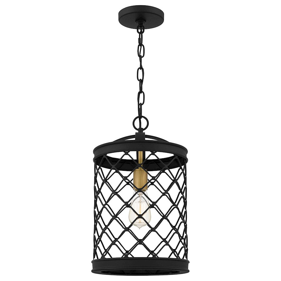 1 Light Mini Pendant, Earth Black