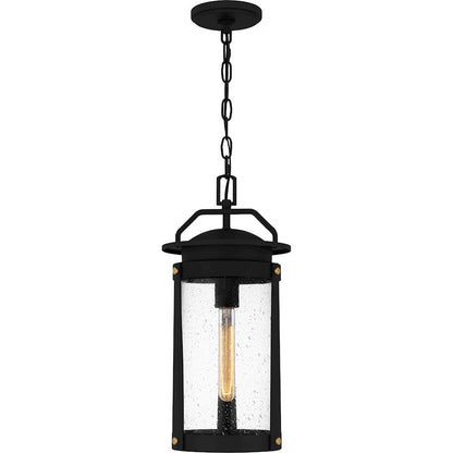 Quoizel Clifton 1 Light 19" Outdoor Lantern, Earth Black/Clear Seedy