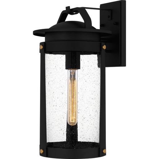 Quoizel Clifton 1 Light 12" Outdoor Lantern, Earth Black/Clear Seedy - CLI8406EK