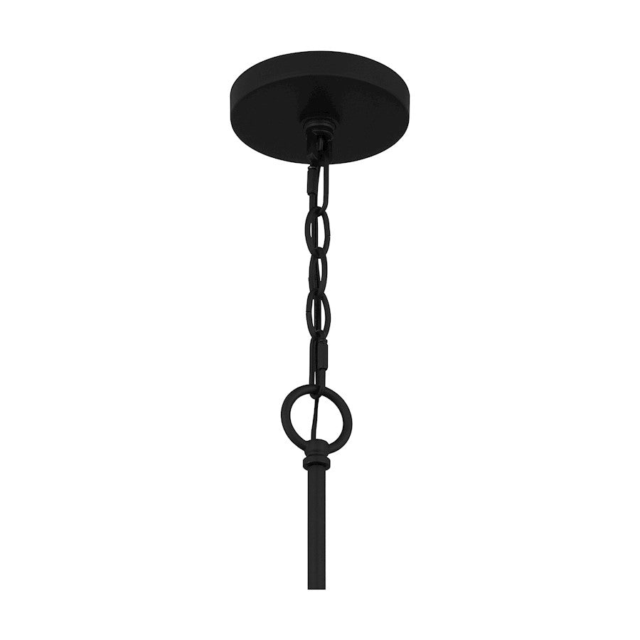 Quoizel Cox 10 Light Chandelier, Matte Black/Clear