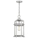 Quoizel Carrington 1 Light Outdoor Hanging Lantern, Aluminum - CRN1909IA