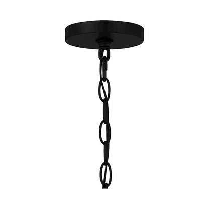 1 Light Mini Pendant, Matte Black