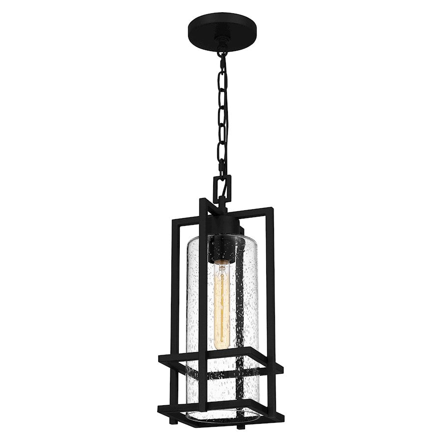 Quoizel Damien 1 Light Outdoor Lantern, Earth Black/Clear Seeded