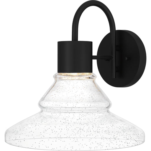 Quoizel Felix Small Outdoor Lantern, Matte Black/Clear Seedy - FLX8412MBK
