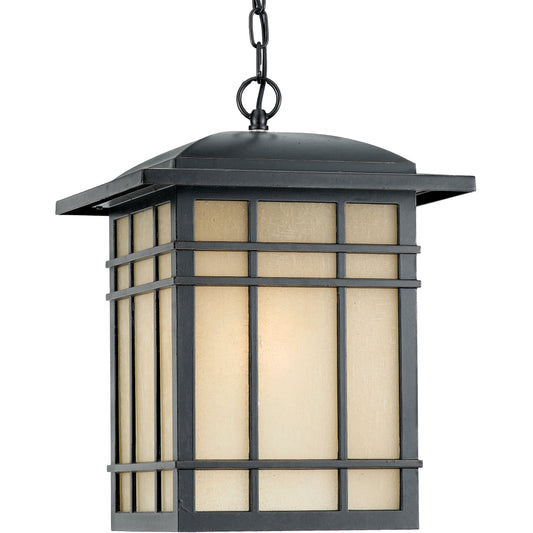 1 Light Large Outdoor Pendant, Bronze