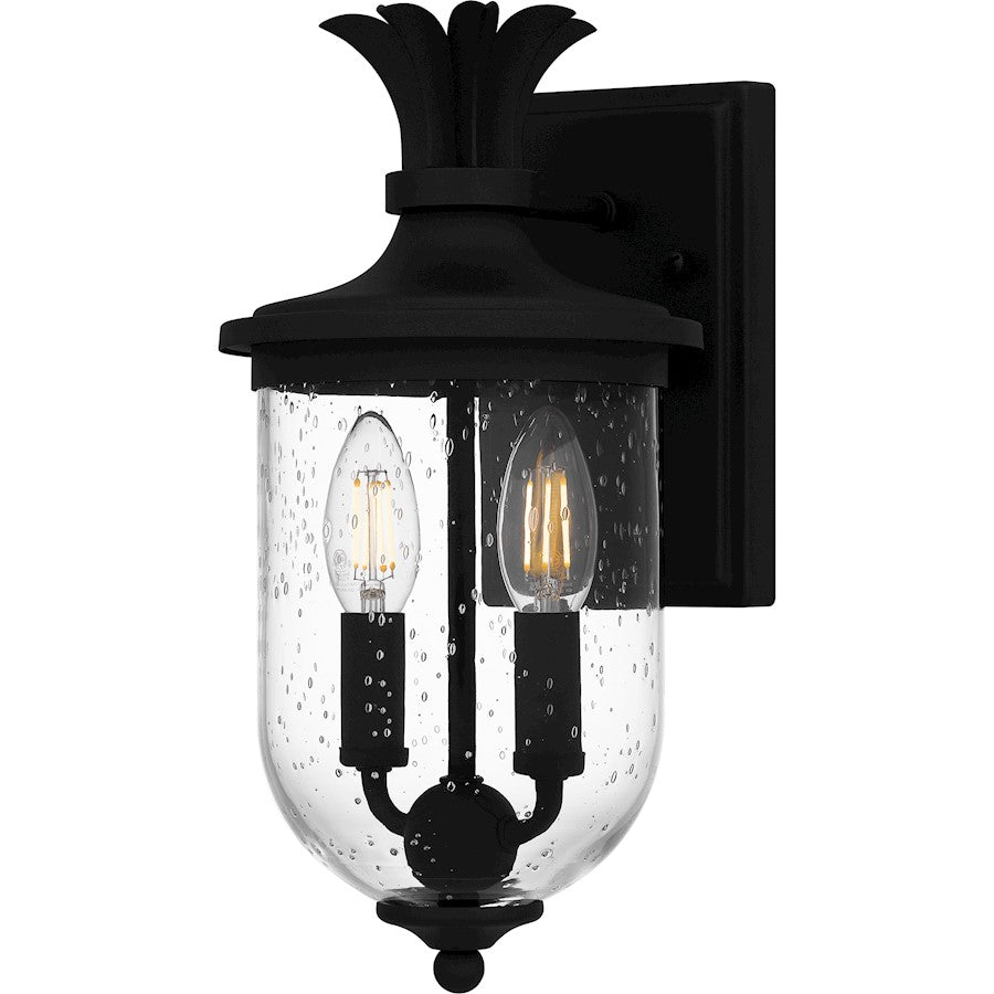 Quoizel Havana 2 Light 13" Outdoor Lantern, Earth Black/Clear Seedy - HVN8406EK