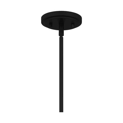 1 Light Mini Pendant, Matte Black