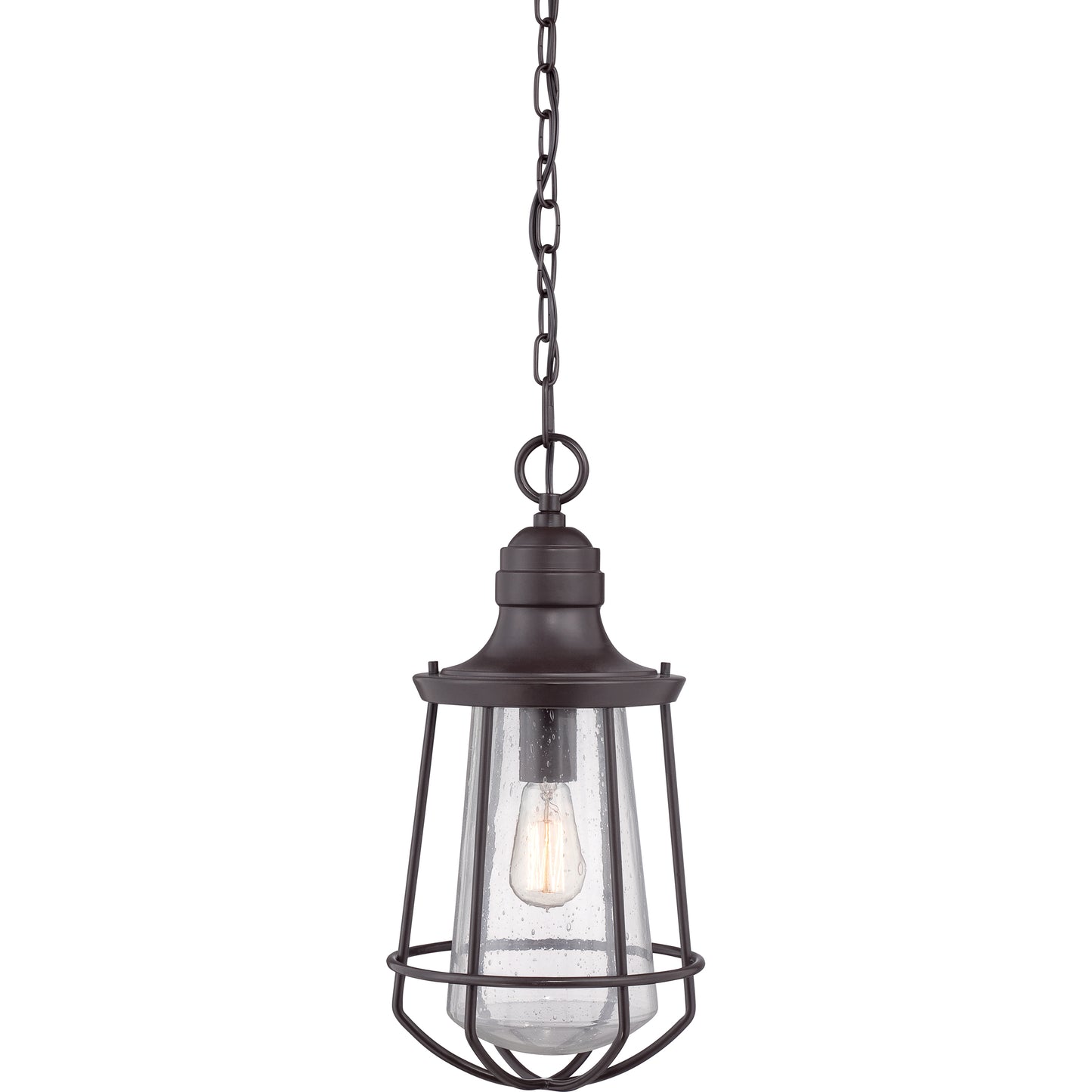 Quoizel Marine 1 Light Mini Pendant, Bronze/Clear Seeded - MRE1509WT