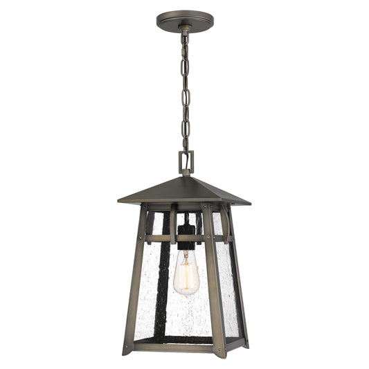 Quoizel Merle 1 Light Mini Pendant, Burnished Bronze/Clear Seeded - MRL1509BBR