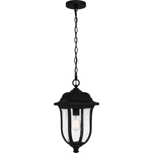 Quoizel Mulberry 1 Light 18" Outdoor Lantern, Black/Clear Seedy - MUL1909MBK