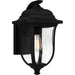 Quoizel Mulberry 1 Light 12" Outdoor Lantern, Black/Clear Seedy - MUL8406MBK