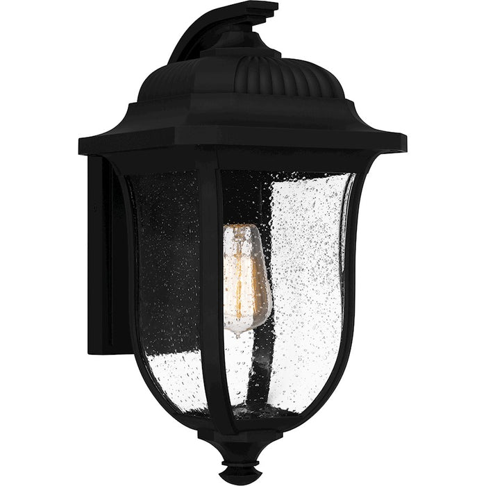 Quoizel Mulberry 1 Light Outdoor Lantern, Black/Clear Seedy