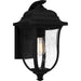 Quoizel Mulberry 1 Light 17" Outdoor Lantern, Black/Clear Seedy - MUL8409MBK