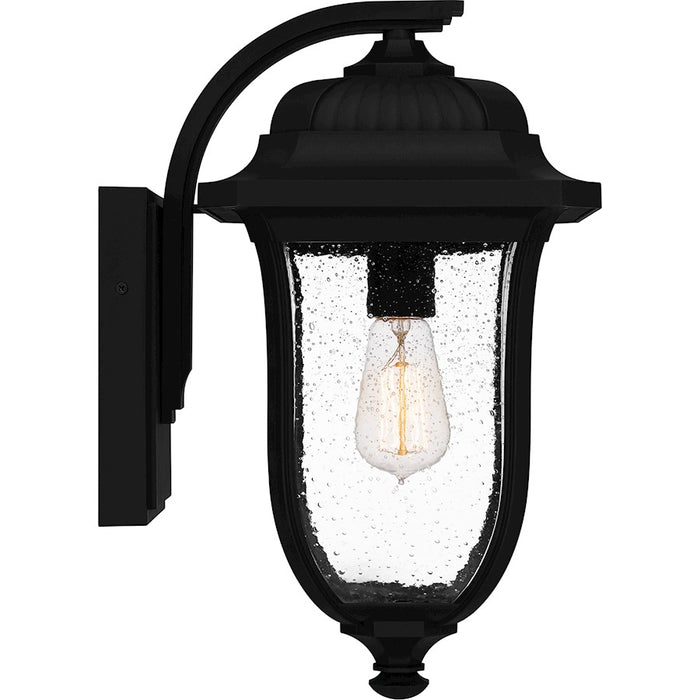 Quoizel Mulberry 1 Light Outdoor Lantern, Black/Clear Seedy