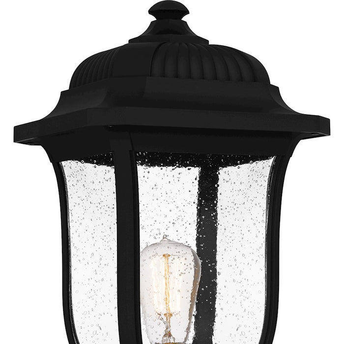 Quoizel Mulberry 1 Light 20" Outdoor Lantern, Black/Clear Seedy