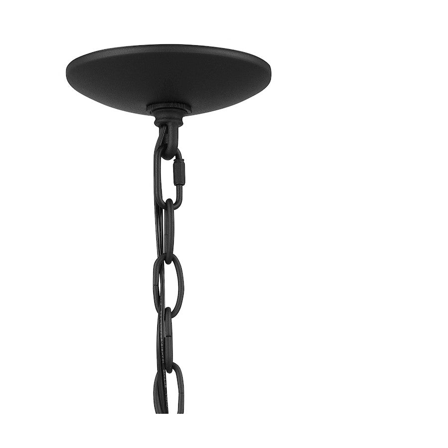 1 Light Mini Pendant, Earth Black