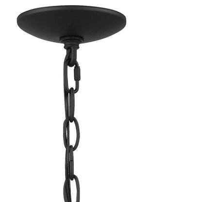 Quoizel O'Leary 1 Light Outdoor Hanging Lantern, Earth Black