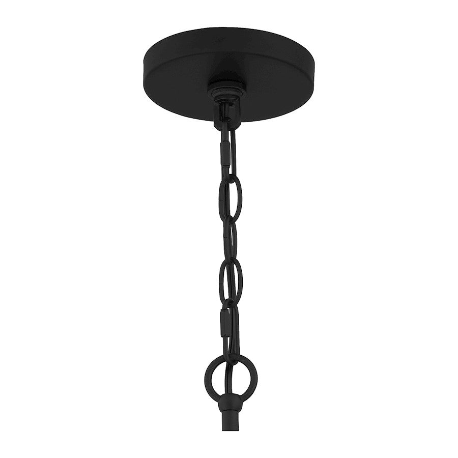 1 Light Mini Pendant, Matte Black