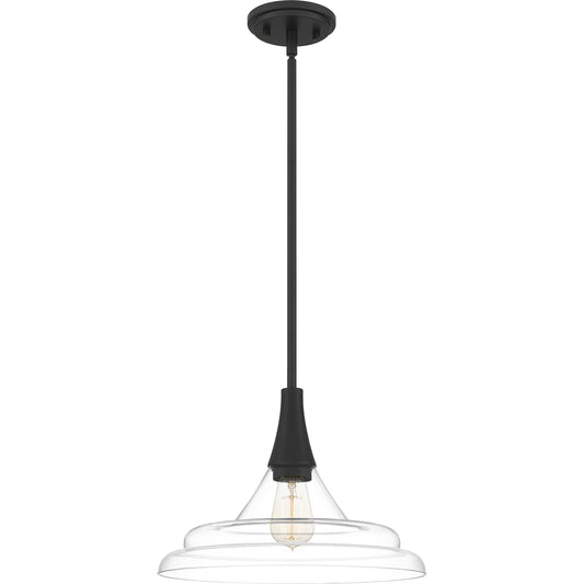 Quoizel Grayton 1 Light Pendant, Brushed Nickel/Clear - QP5568BN